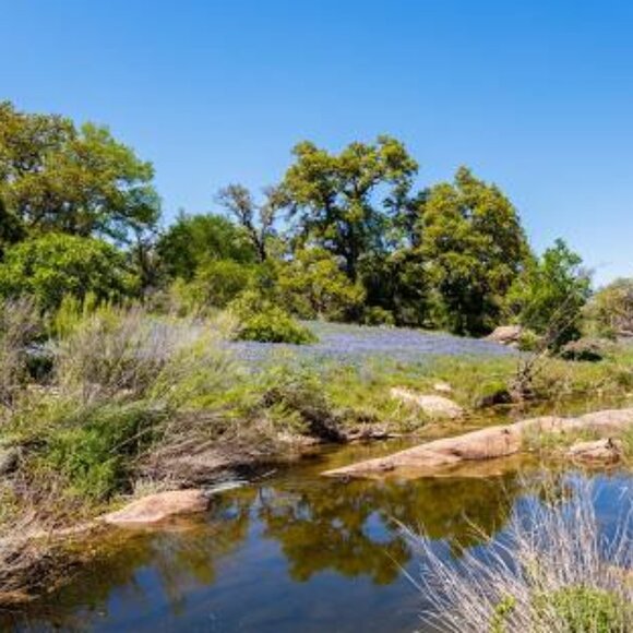 Meet your Posher, Jeffrey - Picture 1 of 1